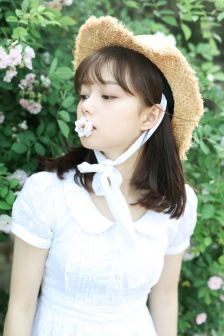 我把忠诚献给你